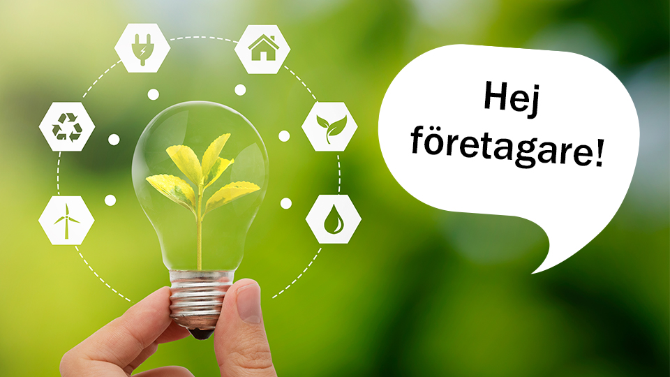 Bild på glödlampa med växter och texten "Hej företagare"