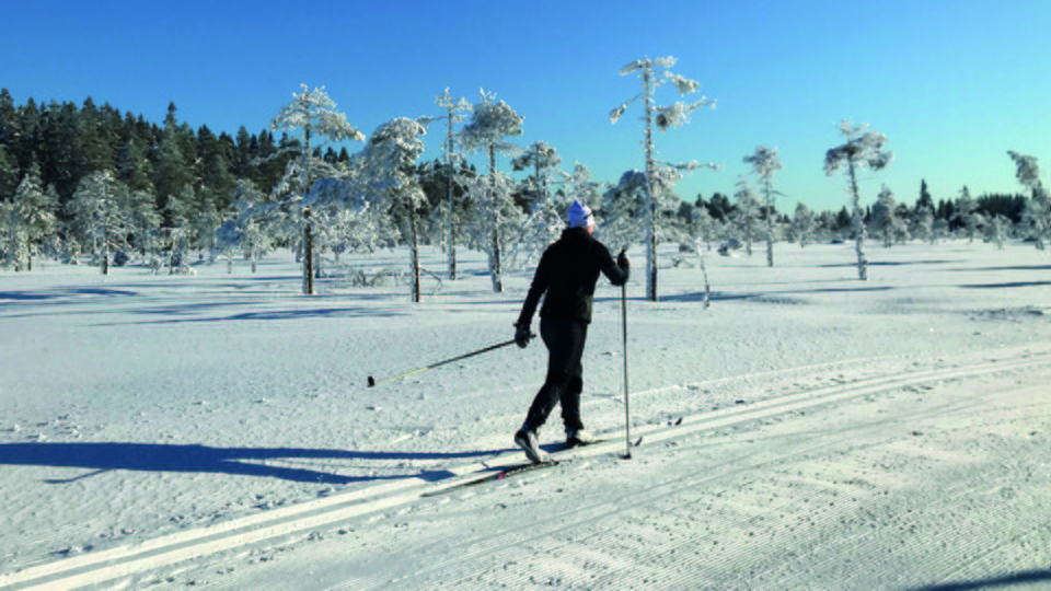 Crosscountry skier, Ljungåsen Ludvika municipallity