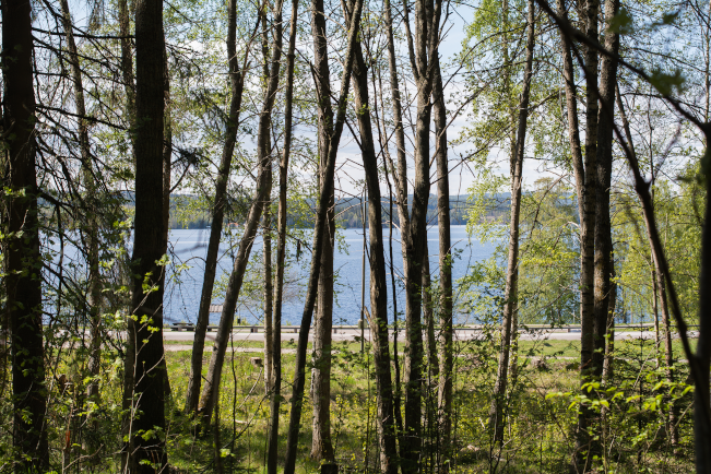 Miljöbild från Övre Hammarbacken, sjön Väsman i bakgrunden.
