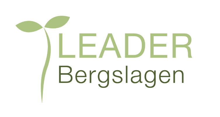 Logotyp Leader Bergslagen